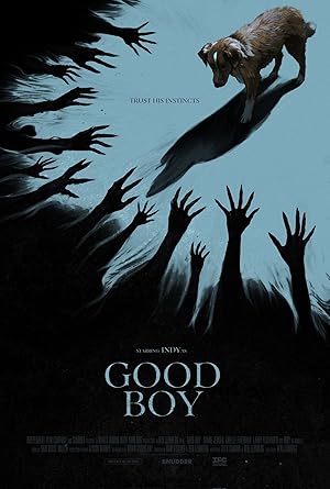 مشاهدة فيلم Good Boy 2025 مترجم كامل HD اون لاين